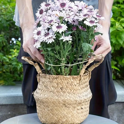 1Pc Large hanging plant stand, iron hooks.