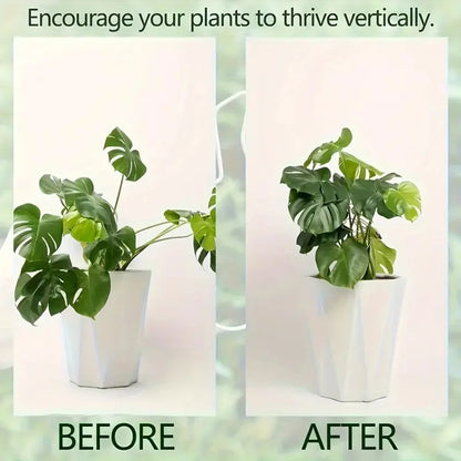 1Pc Large hanging plant stand, iron hooks.